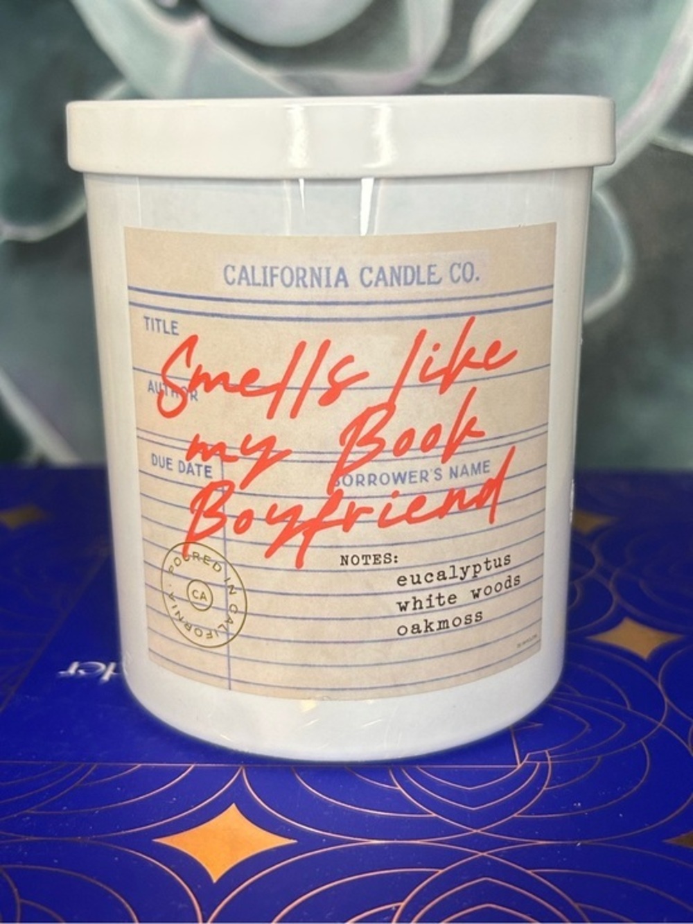 "Smells Like My Book Boyfriend" Oakmoss, White Woods, Eucalyptus Scented Candle